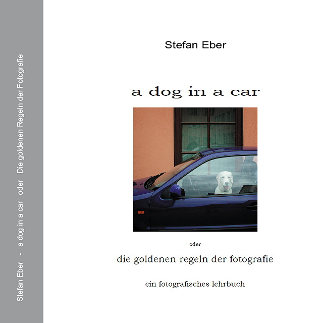 → klicken Sie auf das Bild für detaillierte Informationen zum Buch a dog in a car
